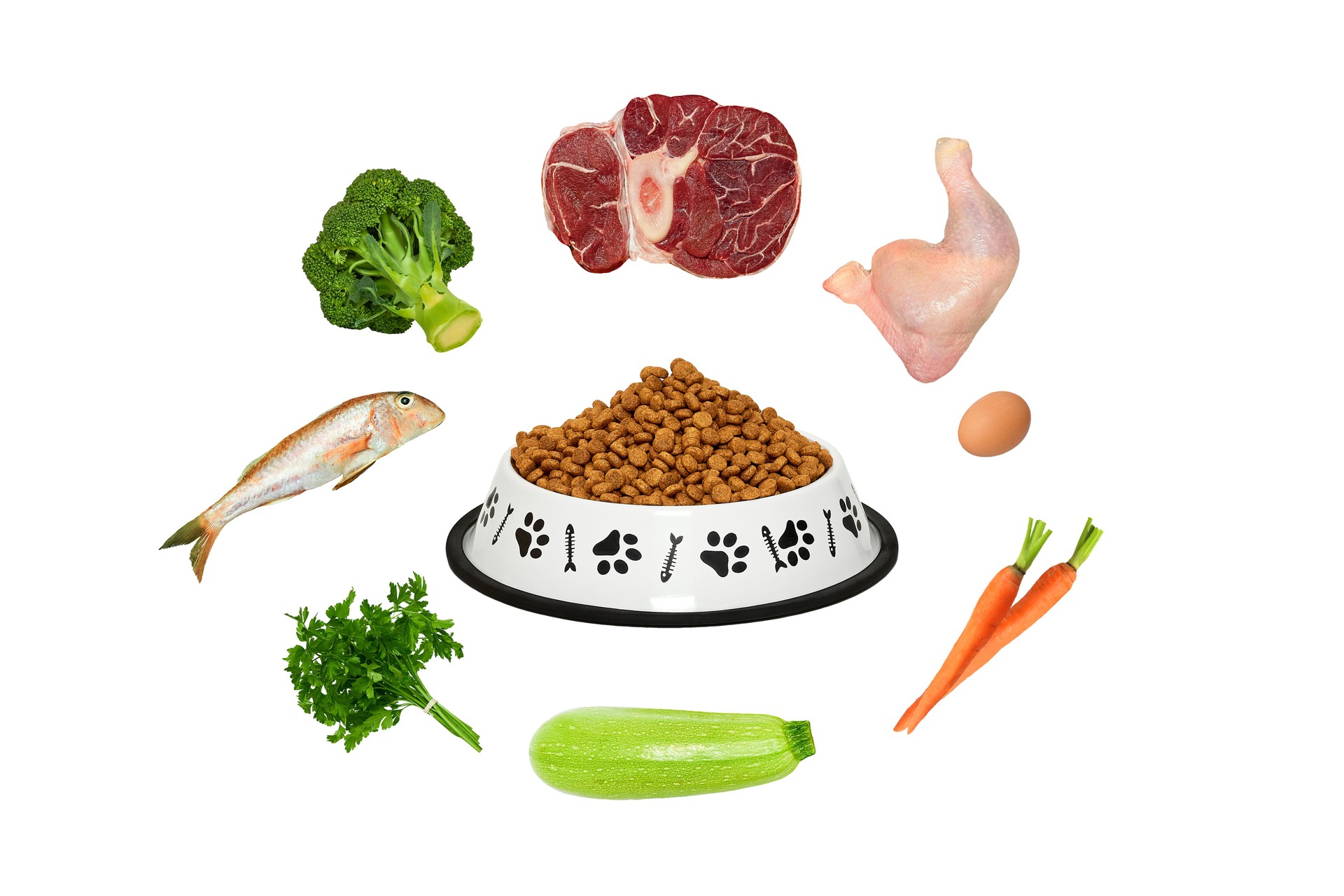 Natural food ingredients around dry food dog's bowl. Raw meat, fish, eggs and vegetables.