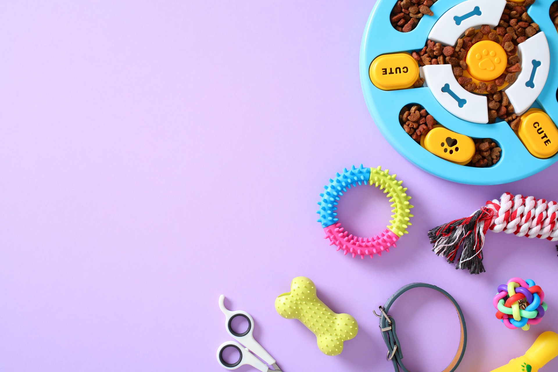 Assorted pet toys and accessories on purple backdrop, featuring puzzle feeder, chew toys, grooming tools, and collar. Great for pet care content, dog lifestyle visuals, and playful product ads